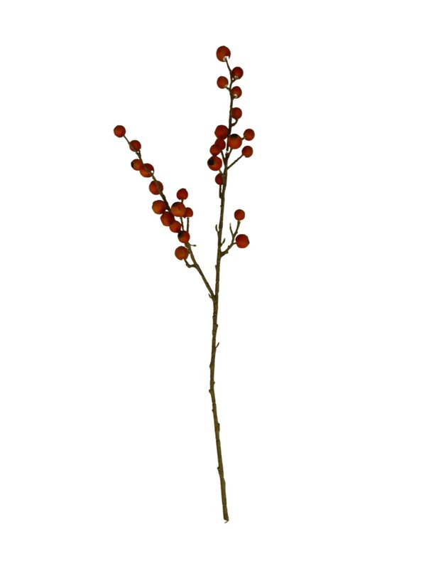 Decorative Flowers Fruit (Artistic Looking - Red)