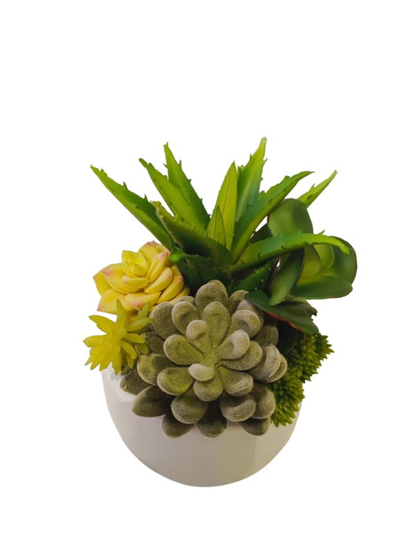 Multiple Agave Plants With White Round Pot (Table Size) - Faux
