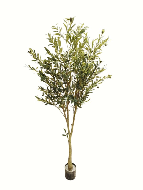 Olive Plant Tree 1.8m - Faux
