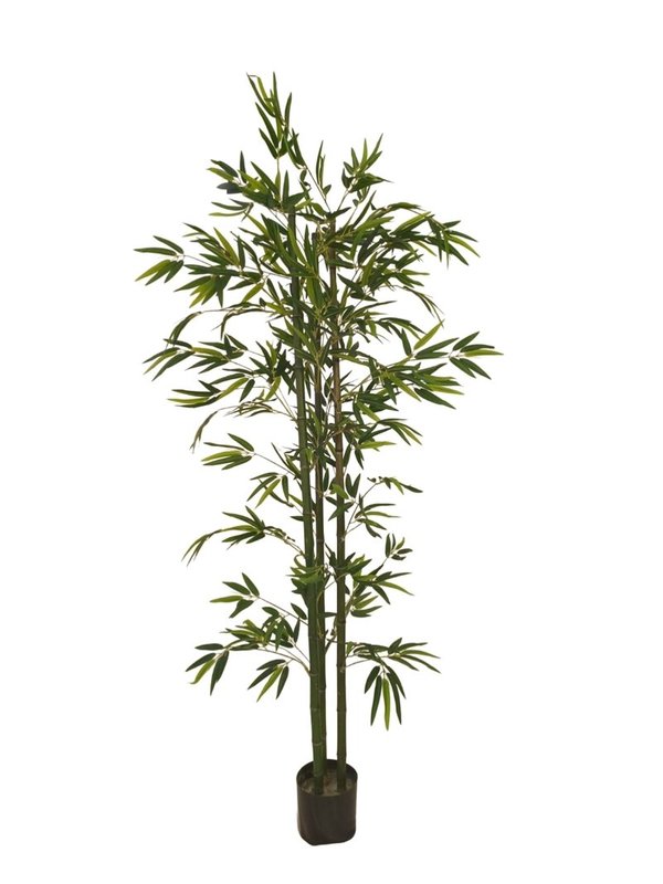 Bamboo Plant 1.8m - Faux