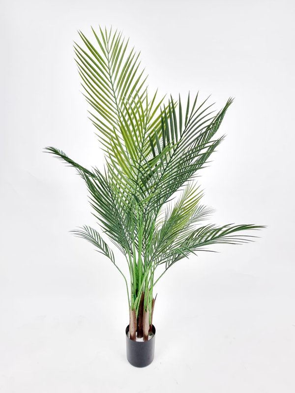 Palm Tree Plant 1.6m - Faux