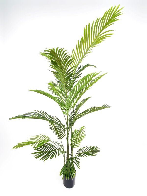 Palm Tree Plant 1.8m - Faux