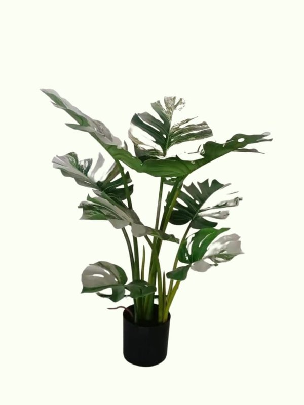 Monstera Albo Plant 4ft - Faux