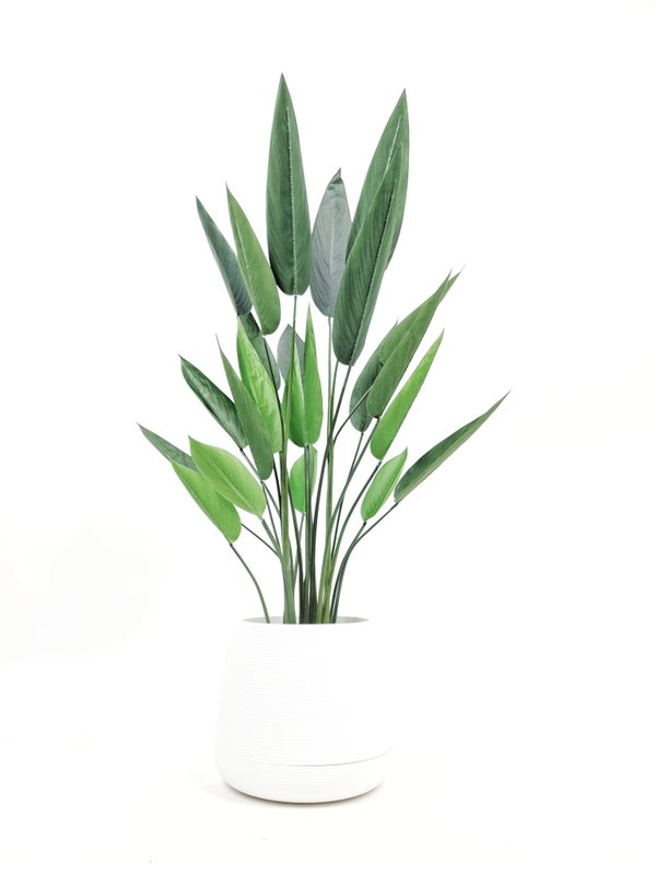 Sky Bird Plant 1.2m - Faux