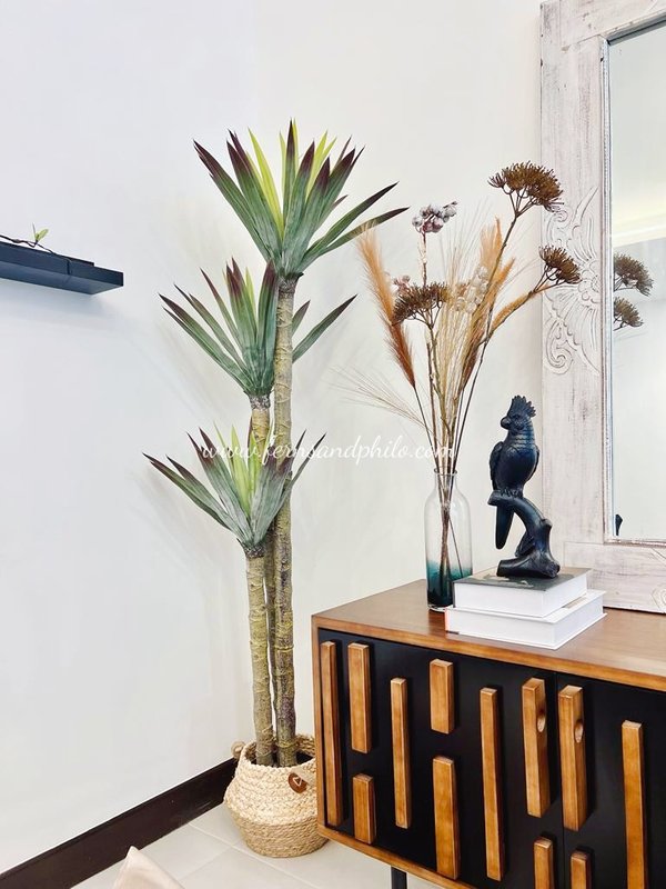 Yucca Tree 1.7m (Short Leaves) - Faux