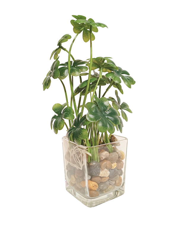 Four-leaf Clover Plant - Table Size (Faux)