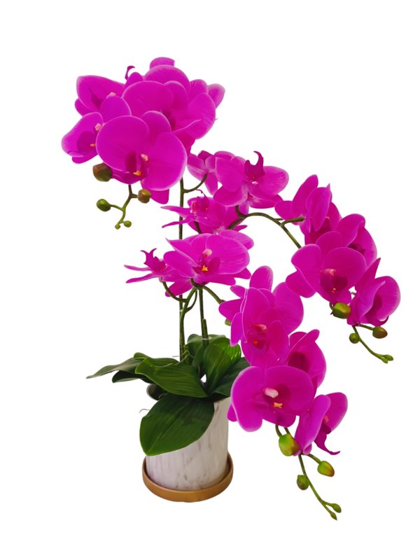 Orchid Plant (Purple) - Faux