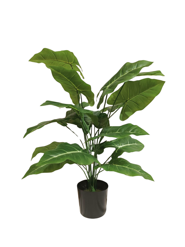 Taro Plant 0.7m - Faux 