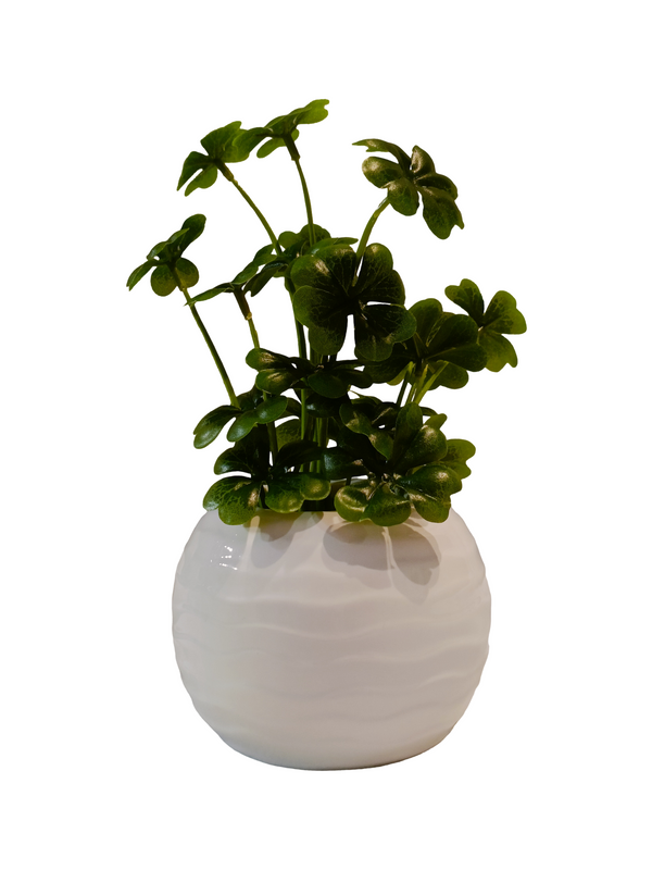 Four-leaf Clover Plant With Round Pot - Table Size (Faux)