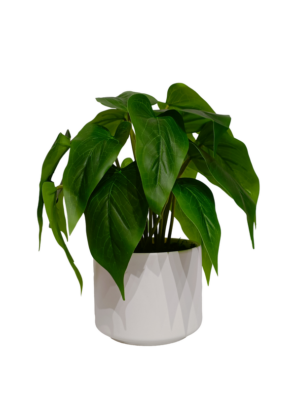 Philodendron Cordatum Plant With White Pot - Table Size (Faux)