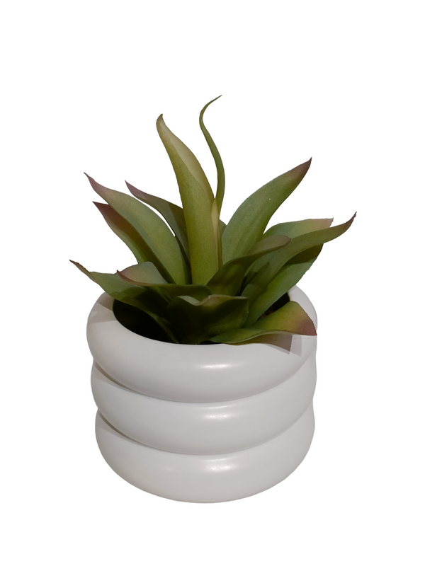 Agave Plant With Modern Pot - Table Size (Faux)