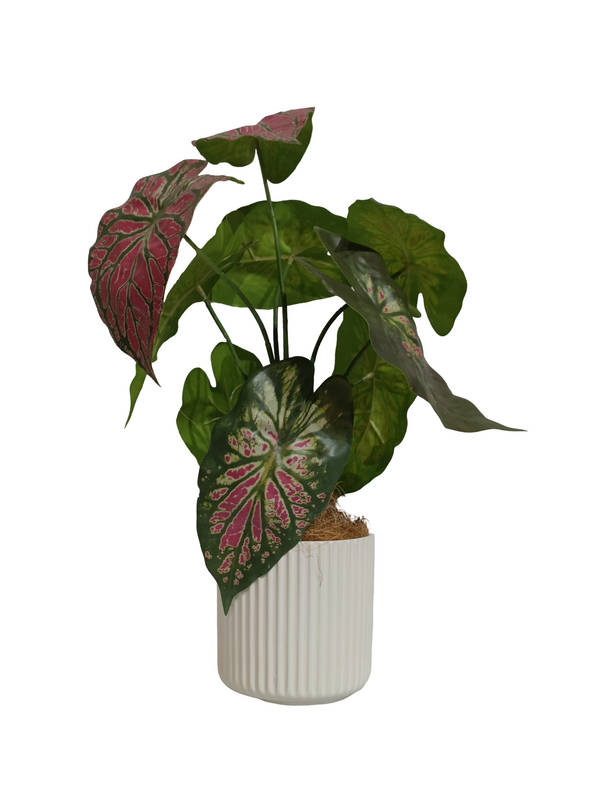 Caladium Plant With White Pot (Faux)