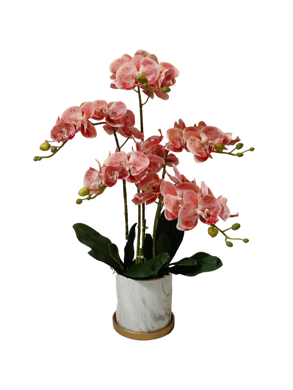 Orchid Plant (Peach) - Faux