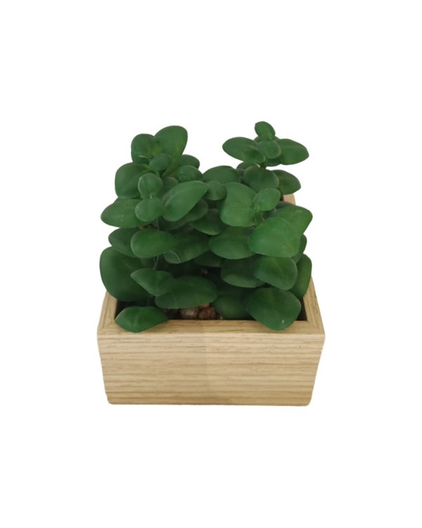 Jade Plant With Wooden Pot - Table Size (Faux)