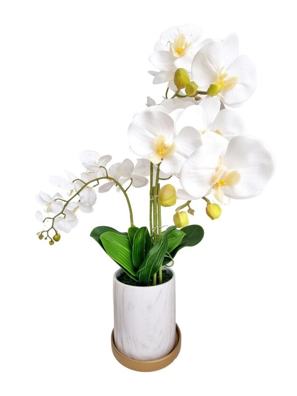 Orchid Plant (White) - Faux