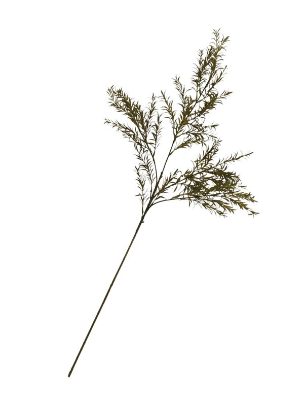 Rosemary (Stalk) - Faux