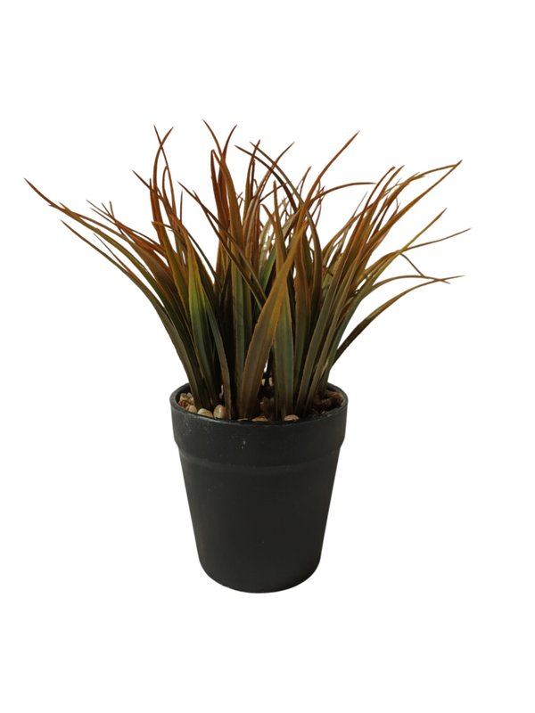 Phormium Tenax Plant With Black Pot - Table Size (Faux)