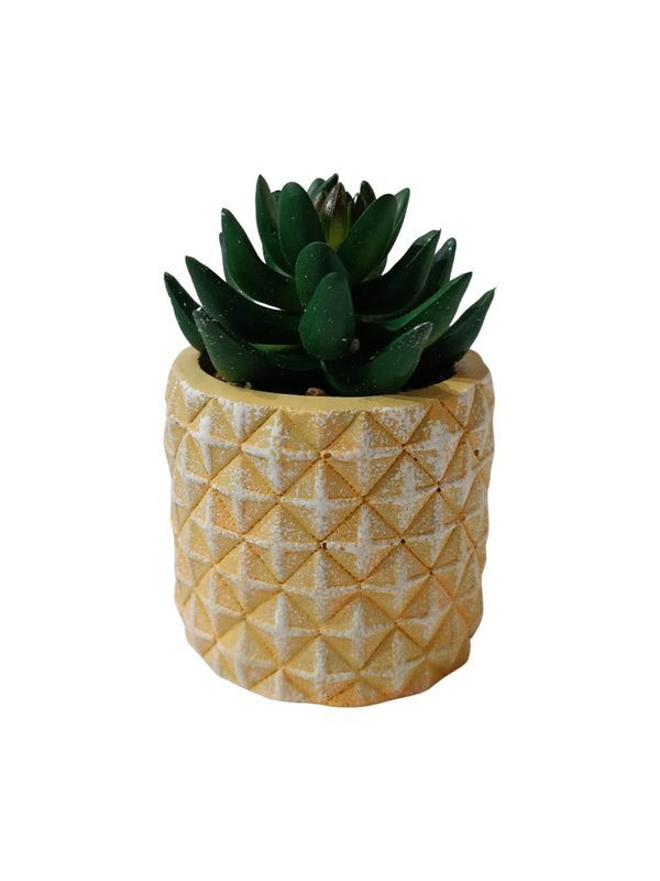 Pachyphytum Plant With Yellow Pot - Table Size (Faux)