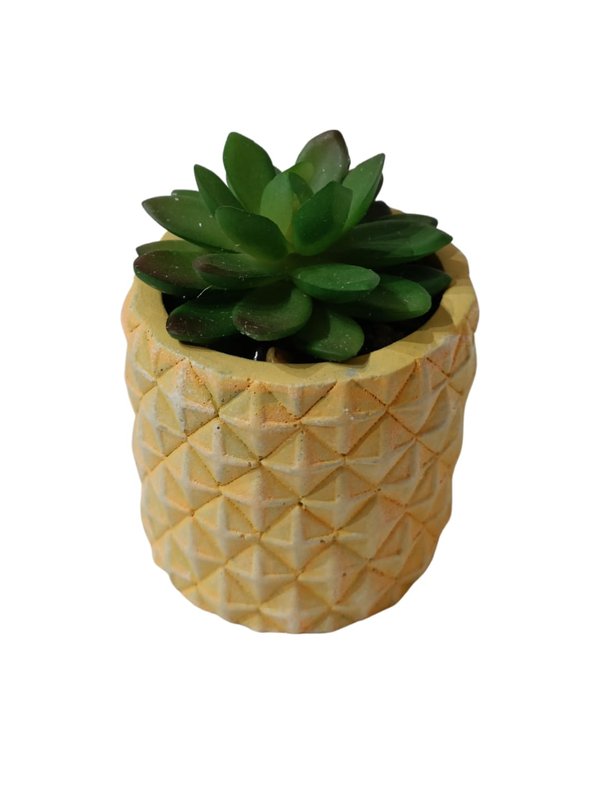 Echeveria Elegans Plant With Yellow Pot - Table Size (Faux)