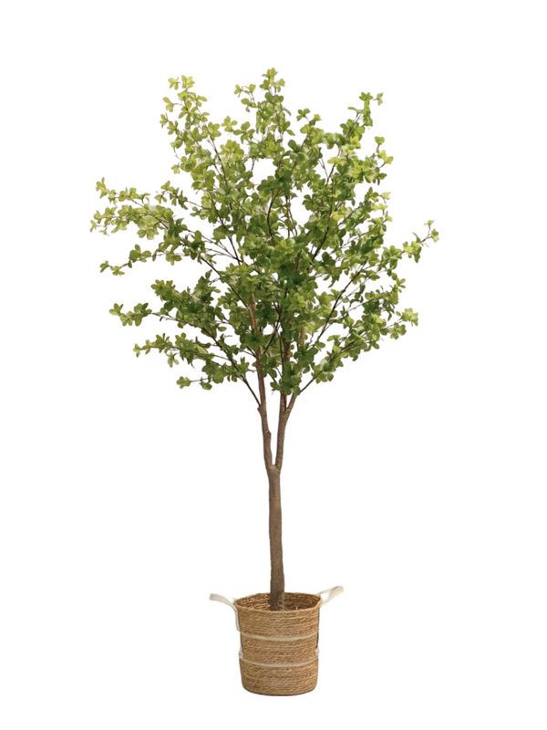 Japanese Bell Leaf Tree 1.8m - Faux